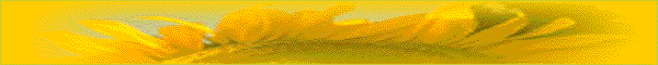 sunbanna.gif (10109 bytes)